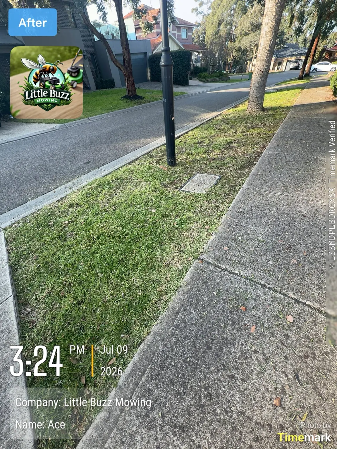 Completed Little Buzz grounds maintenance project